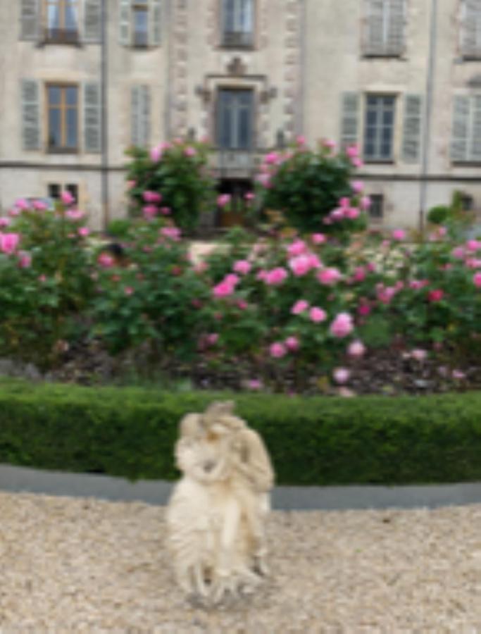 Chateau Pont Jarno B&B Champdeniers Zewnętrze zdjęcie