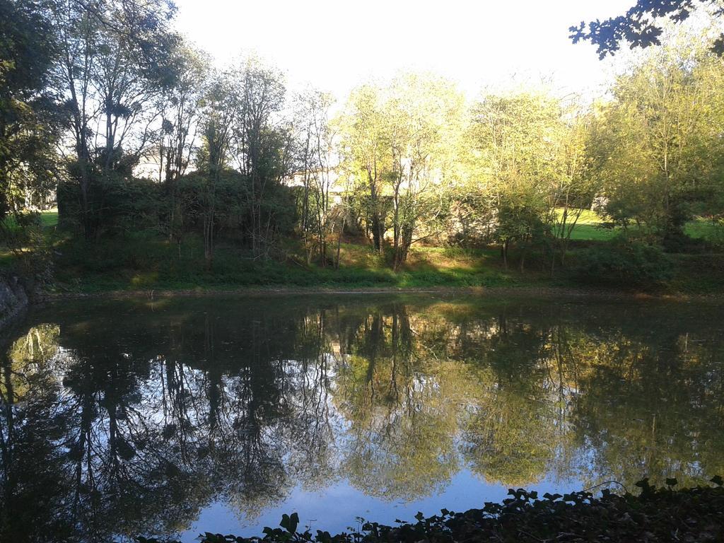 Chateau Pont Jarno B&B Champdeniers Zewnętrze zdjęcie