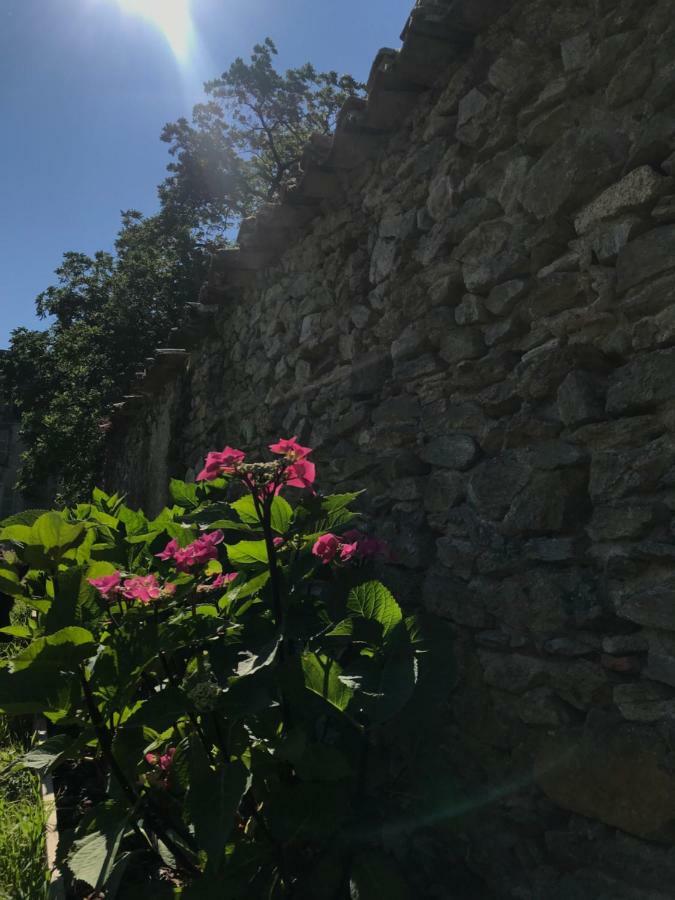 Chateau Pont Jarno B&B Champdeniers Zewnętrze zdjęcie