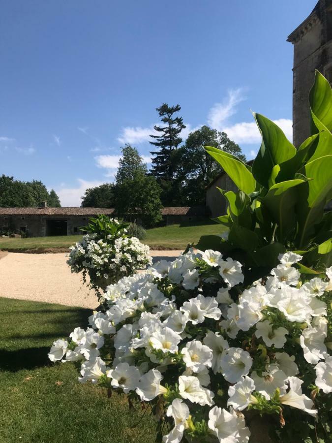 Chateau Pont Jarno B&B Champdeniers Zewnętrze zdjęcie